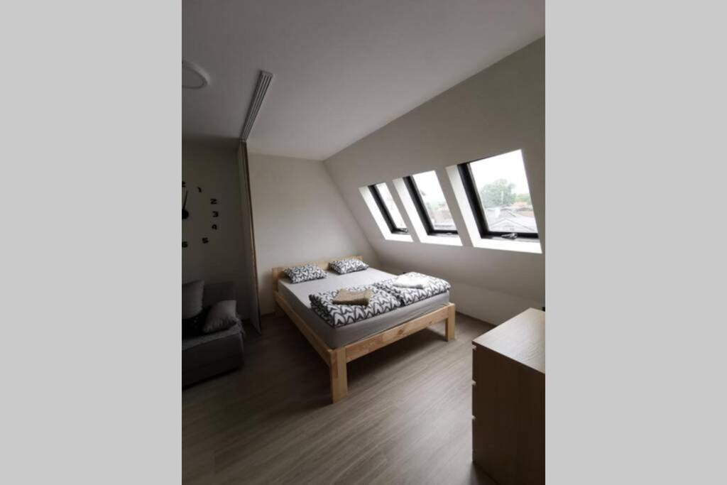 Apartment Rajic Golubac Exterior photo